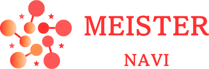 Meister Navi